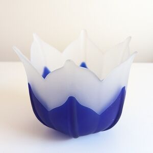 Elegant Blue and White Glass Bowl